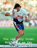 Wikipediatrustability.jpg